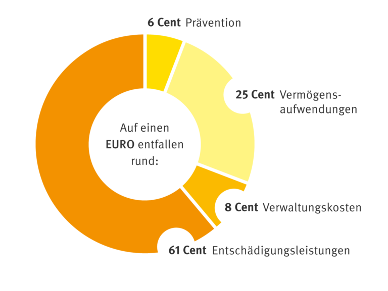 Scheiben Diagramm mit Prozentangaben der Ausgaben 2024