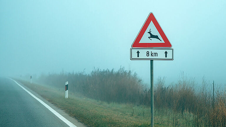 Ein Verkehrsschild mit einem springenden Hirsch und der Aufschrift '8 km' warnt vor Wildwechsel auf einer nebligen Landstraße. Die Straße verläuft am linken Bildrand, während hohe Gräser die rechte Seite säumen.