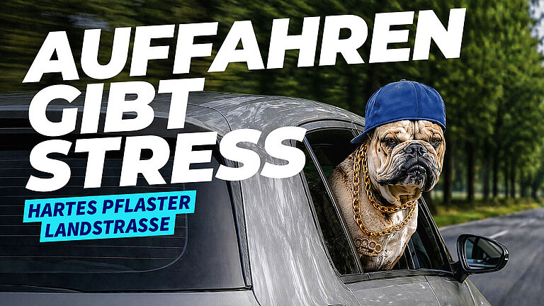 „Auffahren gibt Stress“ heißt es in weißer Schrift auf einem Kampagnen-Motiv. Ein Hund schaut aus dem Fenster eines fahrenden Autos zurück, trägt Kappe und Goldketten.