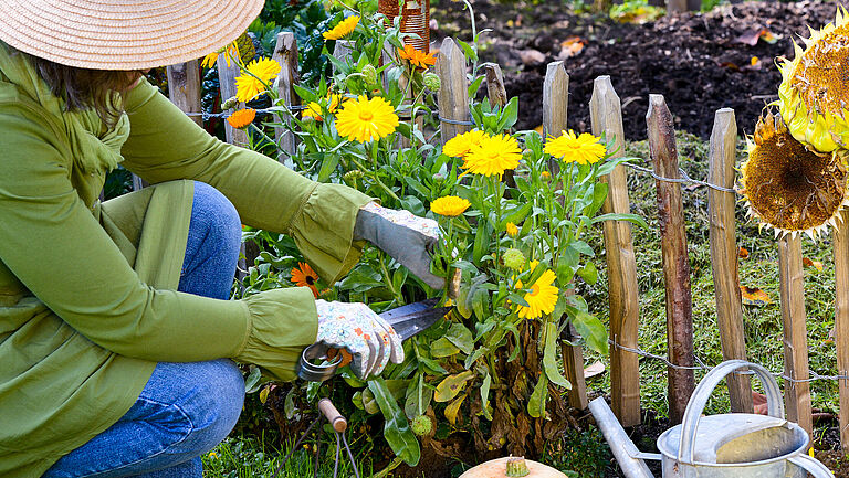 Frau mit Sonnenhut und Gartenhandschuhen verrichtet Gartenarbeit.