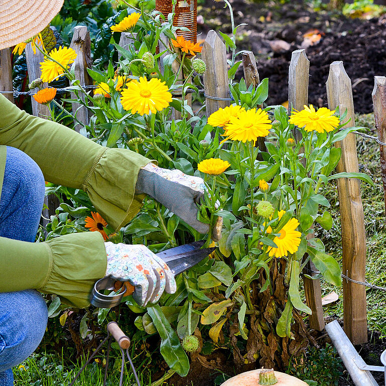 Frau mit Sonnenhut und Gartenhandschuhen verrichtet Gartenarbeit.