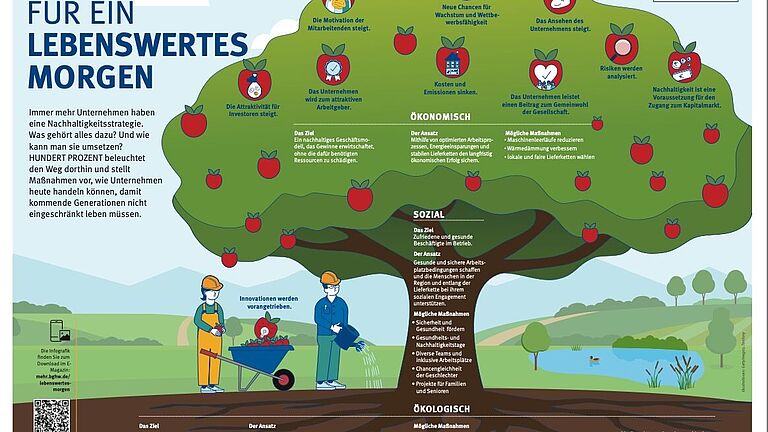 Infografik Nachhaltigkeit