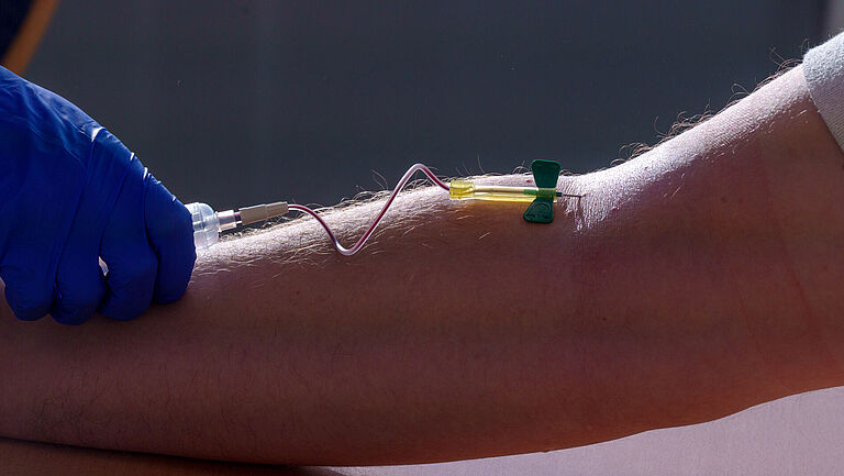 Ein entblößter Oberarm mit gesträubter Behaarung bei der Blutentnahme. Ein Hand im blauen Handschuh hält ein Röhrchen in das über einen dünnen Schlauch Blut fließt. In der Armbeuge steckt eine Kanüle. 