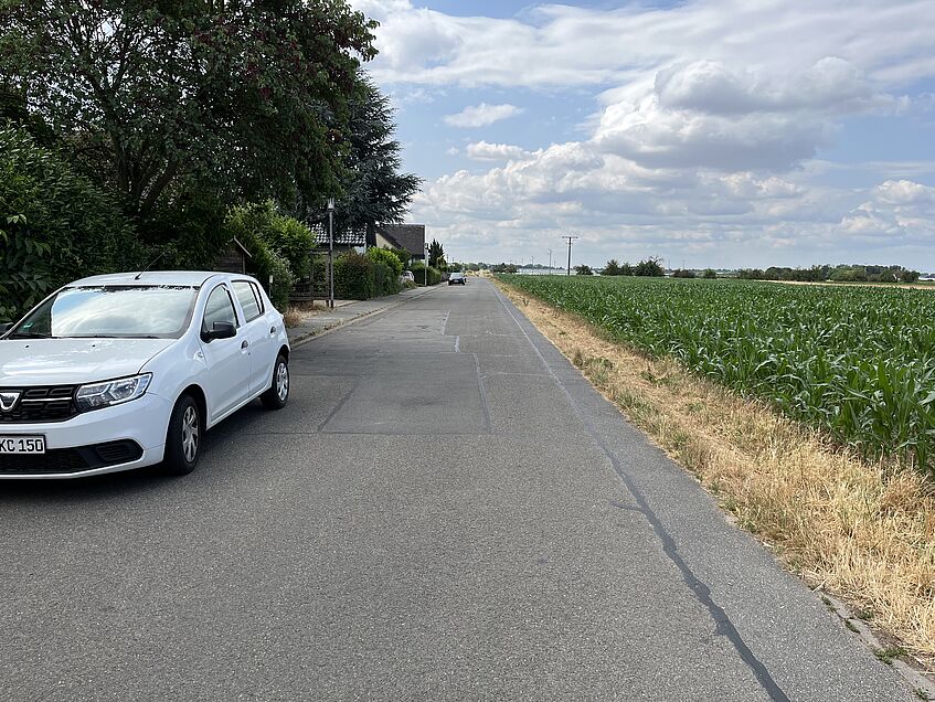 Landstraße neben Maisfeld, weißes Auto am Straßenrand, Häuser links.
