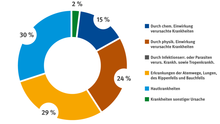 Scheiben Diagramm mit Prozentangaben der Berufskrankheiten Renten 2024