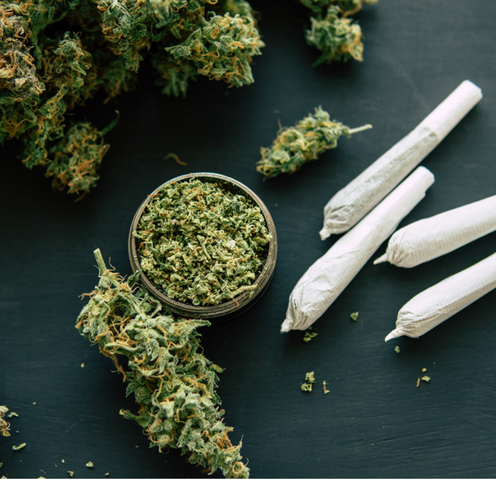 Das Foto zeigt Auszüge einer Cannabispflanze und vier gedreht Joints.