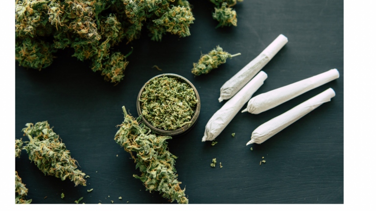 Das Foto zeigt Auszüge einer Cannabispflanze und vier gedreht Joints.